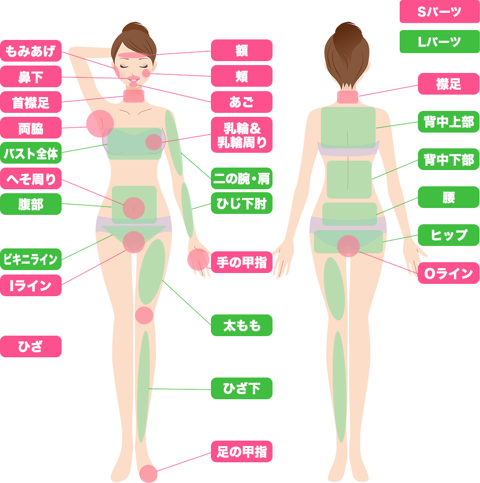 当サロンでお手入れが可能なパーツ表